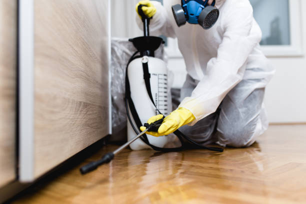 Best Pest Control Treatment  in University, MS