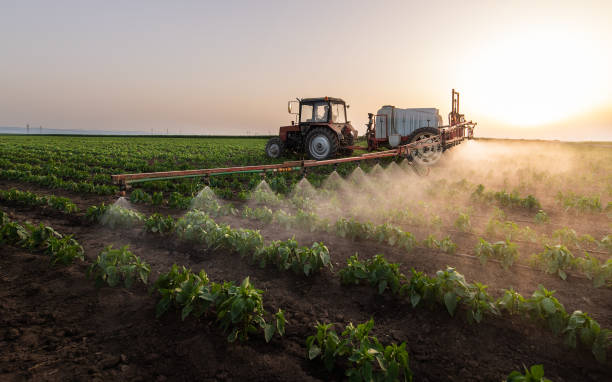 Pest Control Cost in University, MS