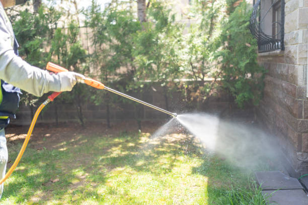 Best Termite Control Services  in University, MS