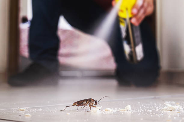 Best Local Pest Control Services  in University, MS