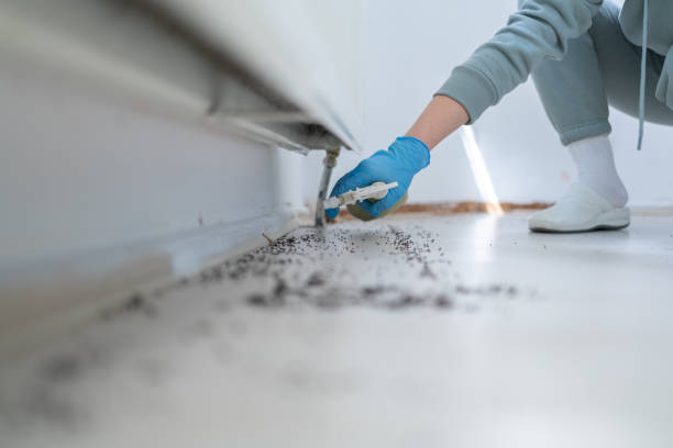  University, MS Pest Control Pros
