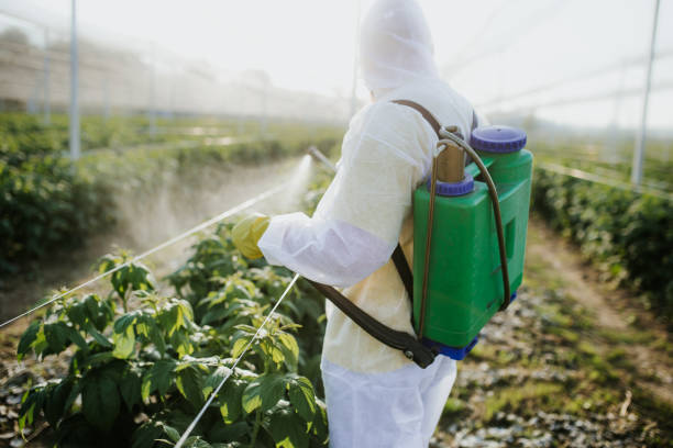 Best Affordable Pest Control Services  in University, MS